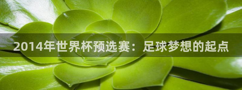 足球世界杯时间:2014年世界杯预选赛:足球梦想的起点