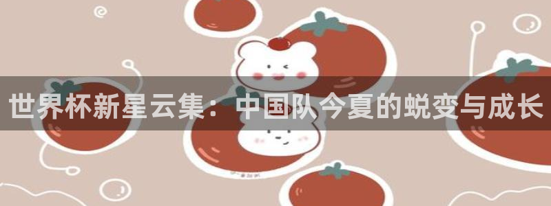 欧洲世预赛赛程表：世界杯新星云集：中国队今夏的蜕变与成长