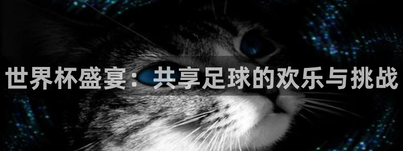 美国世界杯：世界杯盛宴：共享足球的欢乐与挑战