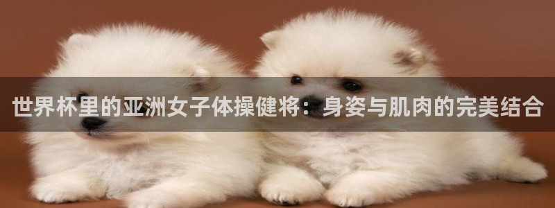 2026世界杯对阵图：世界杯里的亚洲女子体操健将：身姿与肌肉的完美结合