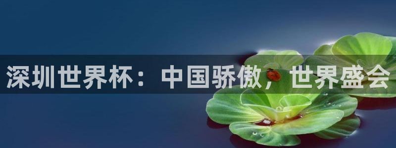 世界杯对阵图2026：深圳世界杯：中国骄傲，世界盛会
