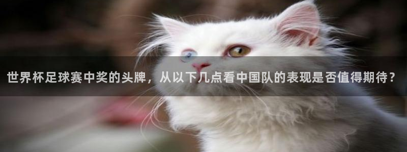 世界杯亚洲区预选赛积分榜：世界杯足球赛中奖的头牌，从以下几点看中国队的表现是否值得期待？