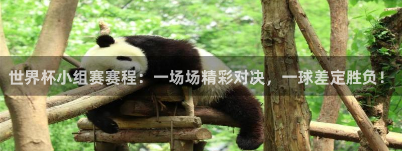 世界杯欧洲预选赛：世界杯小组赛赛程：一场场精彩对决，一球差定胜负！