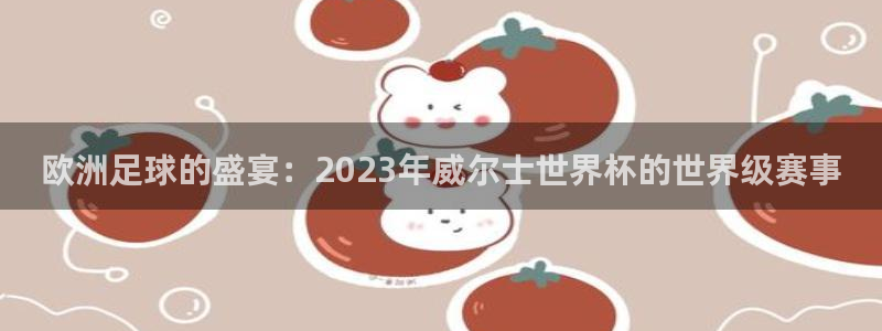 世界直播:欧洲足球的盛宴:2023年威尔士世界杯的世界级赛事