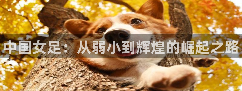 世界杯亚洲区预选赛赛程：中国女足：从弱小到辉煌的崛起之路